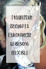 特朗普建议自6月1日起对欧盟征收50%的关税