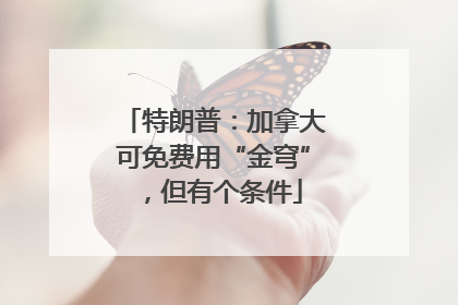 特朗普：加拿大可免费用“金穹”，但有个条件