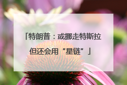 特朗普：或挪走特斯拉 但还会用“星链”