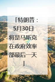 特朗普：5月30日将是马斯克在政府效率部最后一天