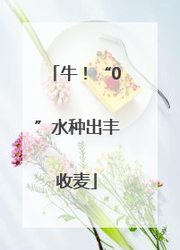 牛！“0”水种出丰收麦