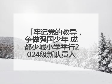 牢记党的教导，争做强国少年 成都少城小学举行2024级新队员入队仪式