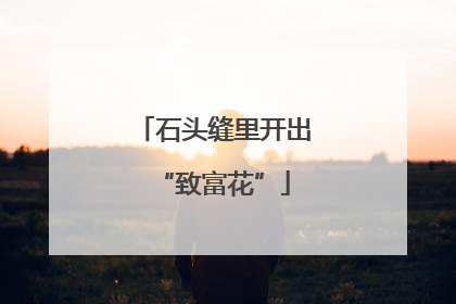 石头缝里开出“致富花”