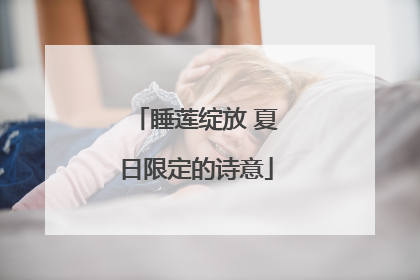 睡莲绽放 夏日限定的诗意