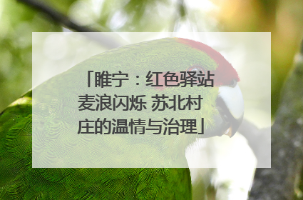睢宁：红色驿站麦浪闪烁 苏北村庄的温情与治理