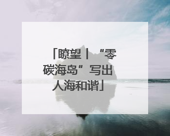 瞭望丨“零碳海岛”写出人海和谐