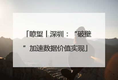 瞭望丨深圳：“破壁”加速数据价值实现