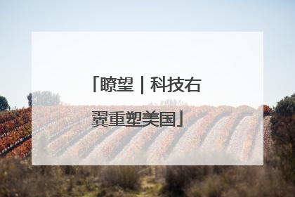 瞭望｜科技右翼重塑美国