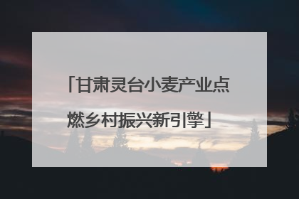 甘肃灵台小麦产业点燃乡村振兴新引擎