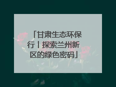 甘肃生态环保行丨探索兰州新区的绿色密码
