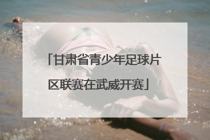 甘肃省青少年足球片区联赛在武威开赛