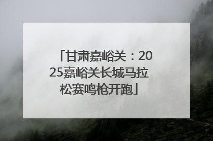 甘肃嘉峪关：2025嘉峪关长城马拉松赛鸣枪开跑