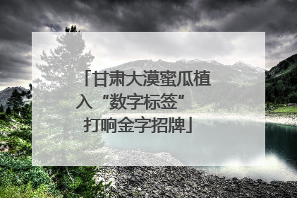 甘肃大漠蜜瓜植入“数字标签” 打响金字招牌