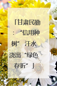 甘肃民勤：“信用种树” 汗水浇出“绿色存折”