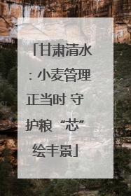 甘肃清水：小麦管理正当时 守护粮“芯”绘丰景