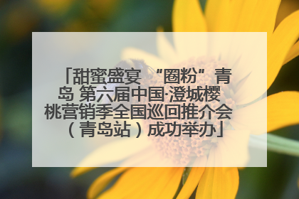 甜蜜盛宴 “圈粉”青岛 第六届中国·澄城樱桃营销季全国巡回推介会（青岛站）成功举办