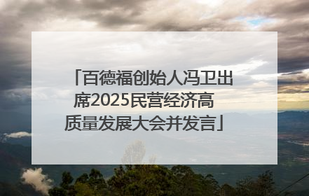 百德福创始人冯卫出席2025民营经济高质量发展大会并发言