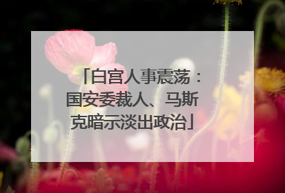 白宫人事震荡：国安委裁人、马斯克暗示淡出政治