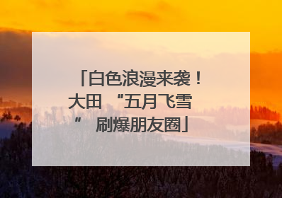 白色浪漫来袭！大田 “五月飞雪” 刷爆朋友圈