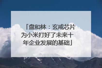 盘和林：玄戒芯片为小米打好了未来十年企业发展的基础
