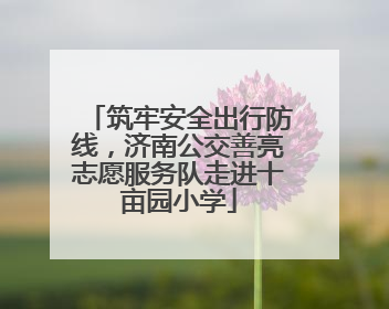 筑牢安全出行防线，济南公交善亮志愿服务队走进十亩园小学
