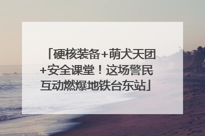 硬核装备+萌犬天团+安全课堂！这场警民互动燃爆地铁台东站