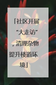 社区开展“大走访”，清理杂物提升楼道环境