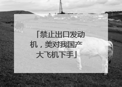 禁止出口发动机，美对我国产大飞机下手