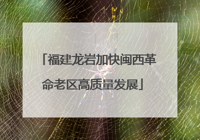 福建龙岩加快闽西革命老区高质量发展