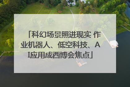 科幻场景照进现实 作业机器人、低空科技、AI应用成西博会焦点