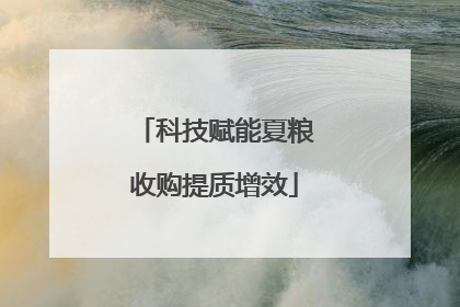 科技赋能夏粮收购提质增效