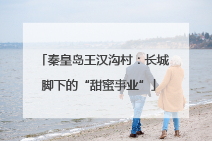 秦皇岛王汉沟村：长城脚下的“甜蜜事业”