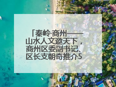 秦岭·商州——山水人文邀天下，商州区委副书记、区长支朝奇推介5个重点招商项目