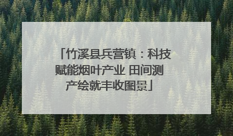 竹溪县兵营镇：科技赋能烟叶产业 田间测产绘就丰收图景