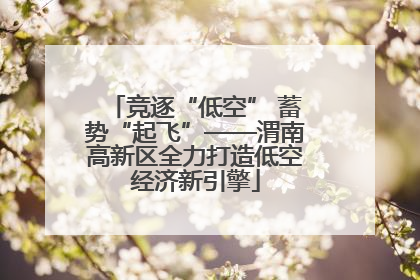 竞逐“低空” 蓄势“起飞”——渭南高新区全力打造低空经济新引擎