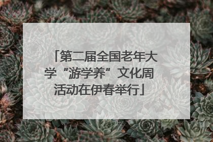 第二届全国老年大学“游学养”文化周活动在伊春举行
