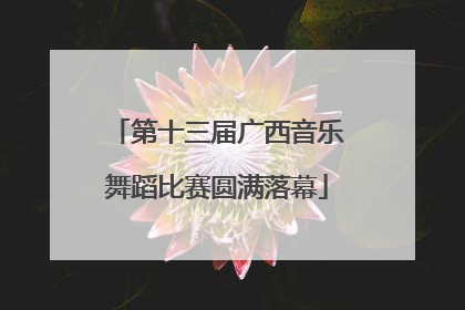 第十三届广西音乐舞蹈比赛圆满落幕