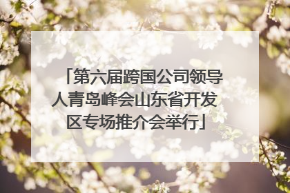 第六届跨国公司领导人青岛峰会山东省开发区专场推介会举行