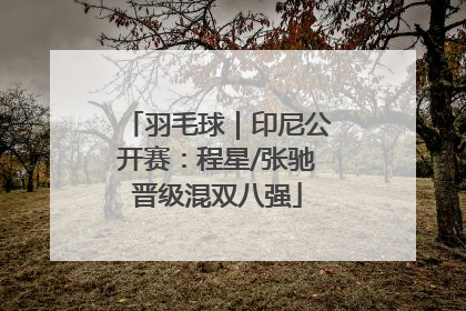 羽毛球｜印尼公开赛：程星/张驰晋级混双八强