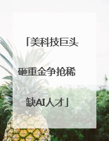 美科技巨头砸重金争抢稀缺AI人才