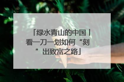 绿水青山的中国丨看一刀一划如何“刻”出致富之路