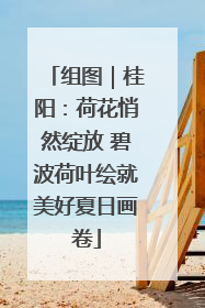 组图｜桂阳：荷花悄然绽放 碧波荷叶绘就美好夏日画卷