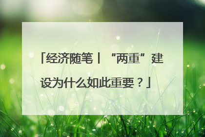 经济随笔丨“两重”建设为什么如此重要？
