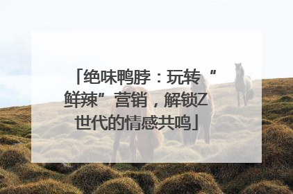 绝味鸭脖：玩转“鲜辣”营销，解锁Z世代的情感共鸣