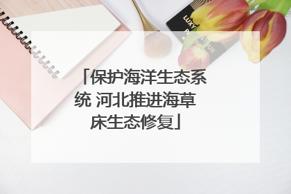 保护海洋生态系统 河北推进海草床生态修复