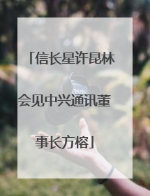 信长星许昆林会见中兴通讯董事长方榕