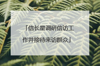 信长星调研信访工作并接待来访群众