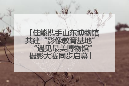 佳能携手山东博物馆共建“影像教育基地” “遇见最美博物馆”摄影大赛同步启幕