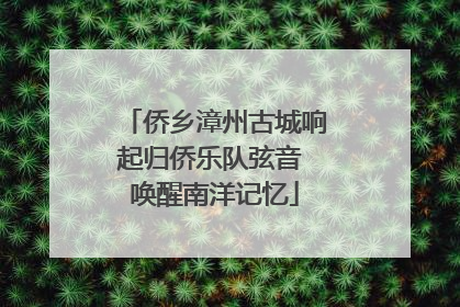 侨乡漳州古城响起归侨乐队弦音 唤醒南洋记忆