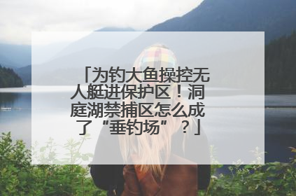 为钓大鱼操控无人艇进保护区！洞庭湖禁捕区怎么成了“垂钓场”？